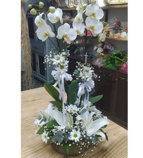 karasu çiçekçilik orkide aranjman