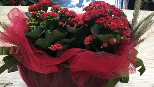 karasu çiçekçilik davet çiçekleri