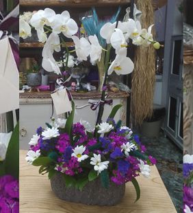 karasu çiçekçilik kavanoz gülü