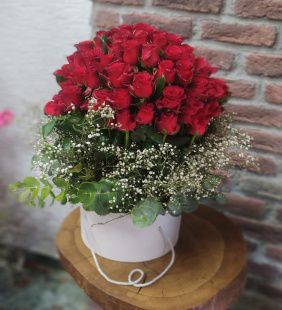 gül kutu kampanya