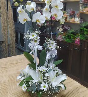 karasu çiçekçilik beyaz orkide