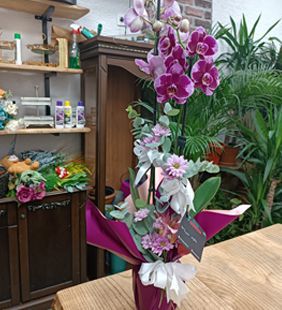 karasu çiçekçi mor orkide ferizli