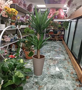 karasu çiçekçilik desenli konik saksı