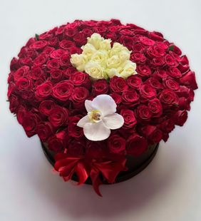 karasu kışkırtan aşk